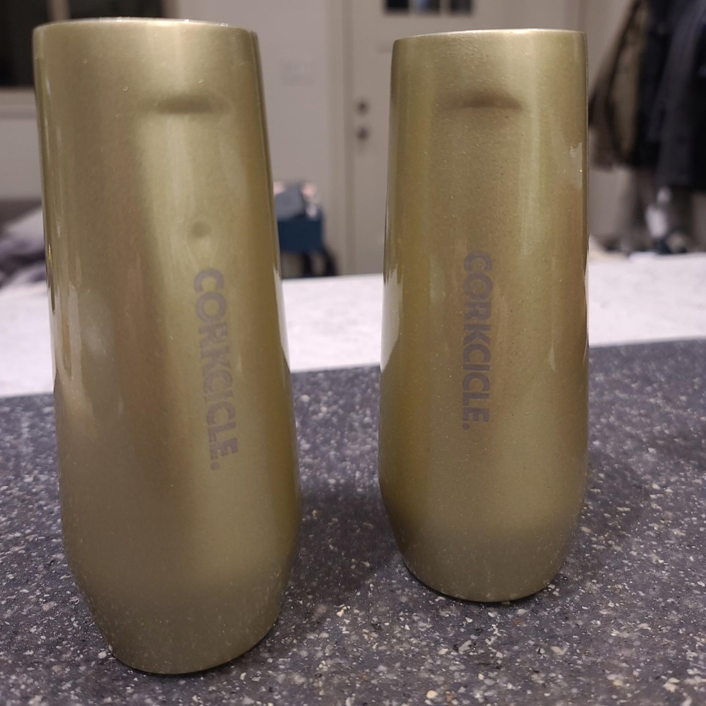 2X Corkcicle Champagne Flute